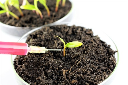 An Image of organic chemistry - Background blurryの写真素材