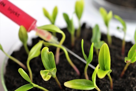 An Image of organic chemistry - Background blurryの写真素材