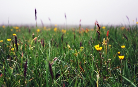 Thick fog enveloped the field  that photography has become an interestingの写真素材