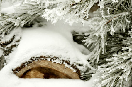 The sawn timber lying in the snowの写真素材
