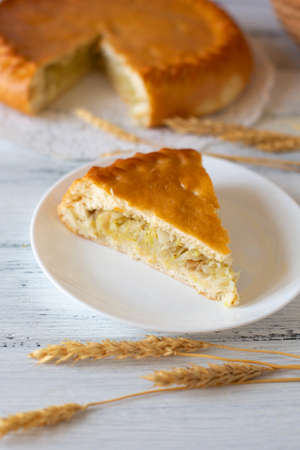 A piece of round pie and wheat stalks on white backgroundの写真素材