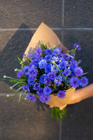 Hand with a bouquet of blue cornflower in craft paper. Grey wall on background. Blue seasonal flowers.の写真素材