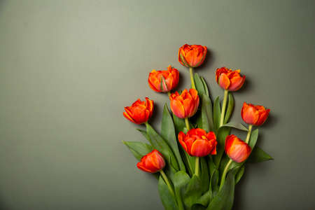 Bouquet of tulips in orange and rich red colors on green paper background.の写真素材