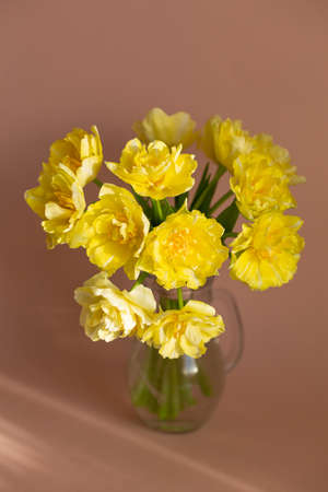 Yellow tulips in glass vase on beige background.の写真素材