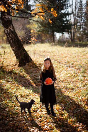 Seven years old girl in black dress with pumpkin and black cat.の写真素材