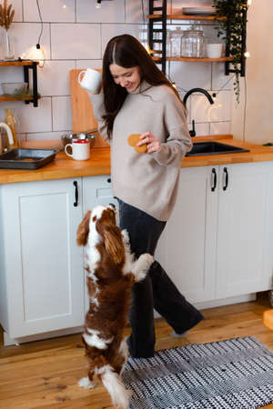 Woman with King Charles spaniel dog at home kitchen with cup and cookie in her hand.の写真素材