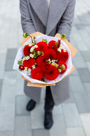 A person in grey coat holding beautiful bouquet of red dahlia flowers.の写真素材