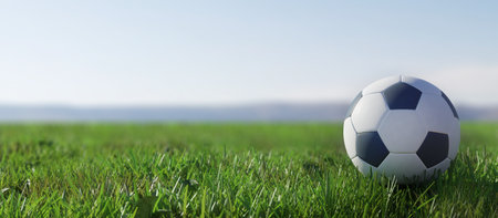 Ball on the football field. Soccer ball green grass.の写真素材