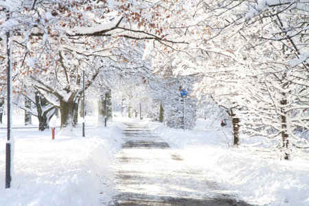 sun in winter