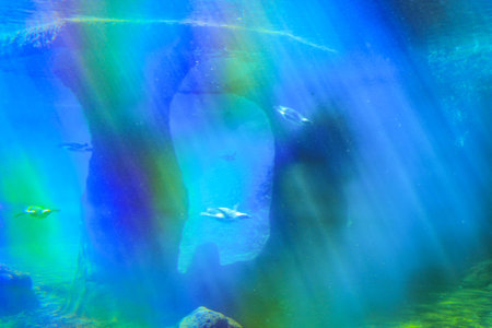 Incredible Underwater Photos. A Few Penguins Are Swimming Underwater In The Rays Of Light Shining...