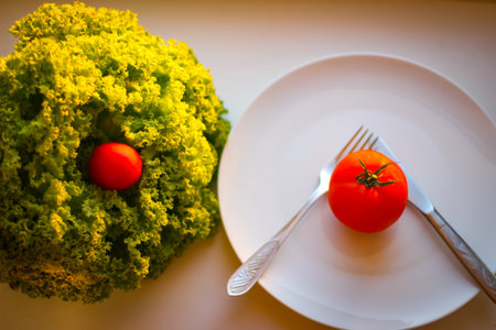 Lettuce leaves and tomatoes illuminated by sunlight. In the frame also has a white plate, a knife and a forkの写真素材