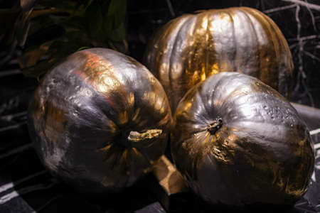 Halloween's holiday attributes in evening. Lantern and pumpkinsの写真素材