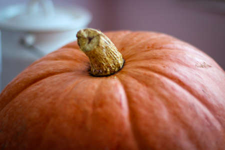 Top of the pumpkin. The photo in soft focusの写真素材