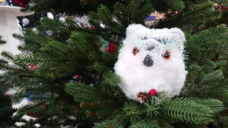 Christmas ornaments decoration in the form of a owl on a Christmas Treeの写真素材