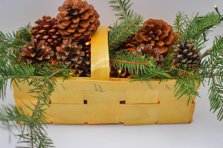 Branches and cones of spruce in wicker basket in background gray wall