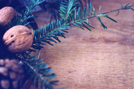 Christmas background. Spruce branch and walnuts on a wooden board