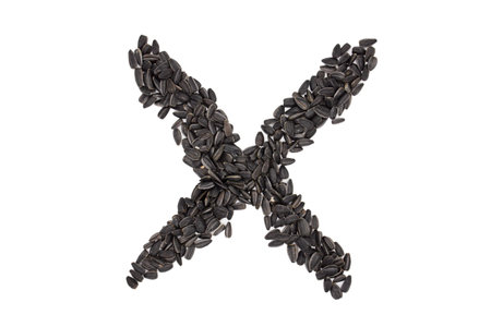 Letters of Latin alphabet are laid out with sunflower seeds. Letter Xの写真素材