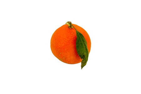 Gorgeous juicy tangerine with green leaves on a white background