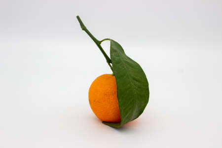 One tangerine with green leaf on white background. isolated imageの写真素材