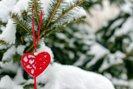 Heart-shaped Christmas tree decoration on spruce branch covered with snowの写真素材