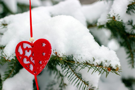 Heart-shaped Christmas tree decoration on spruce branch covered with snowの写真素材