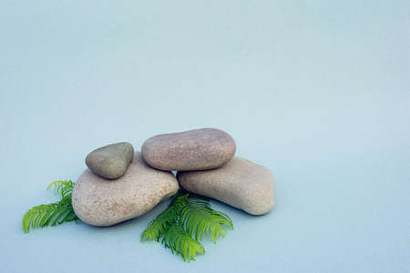 Set of smooth grey pebbles and few green brunches with long leaves-needles on light-blue background with copy space around. Fresh and natural minimalistic background.の写真素材