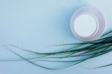 Two silver tins lying one on one and a truss of long green grass with dry edges on pale blue background. Organic and eco freindly care products concept with tin mockup.の写真素材