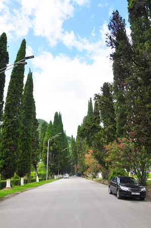 City Park in New Athos july 2016の写真素材
