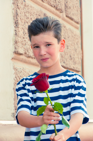 a young romantic boy with a fashionable hairstyle and a roseの写真素材