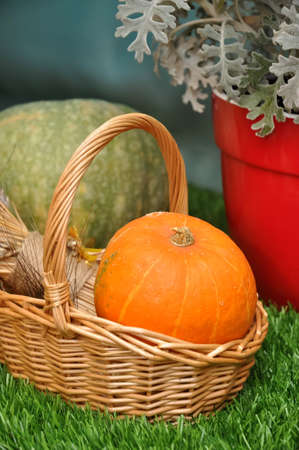 small pumpkin in a wicker basket on the green grassの写真素材