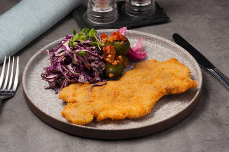tasty chicken schnitzel with red cabbage and cucumber garnishの写真素材
