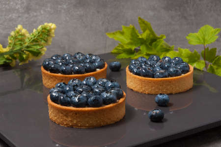 Sweet crispy shortbread tartlet stuffed with delicate vanilla cream, decorated with fresh blueberriesの写真素材