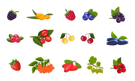 Bright set of berries with leaves isolated on a white background. Red, blue, delicious berry illustrations.のイラスト素材