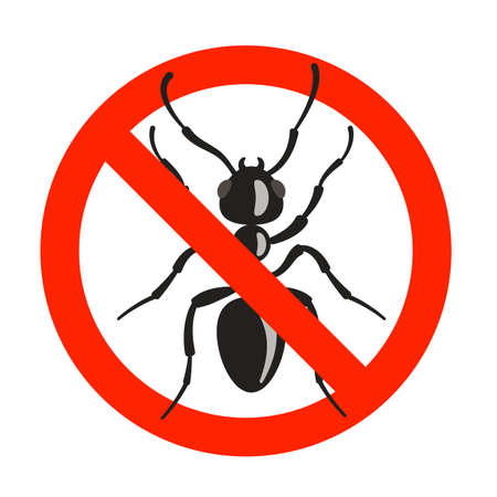 Ant prohibiting sign. Insect disinfection warning symbol.のイラスト素材