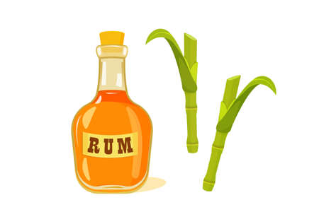 Bottle of rum with sugar cane stems and leaves on white background.のイラスト素材