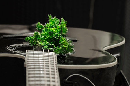 Guitar with parsley on the strings