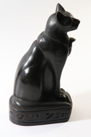 black catの写真素材