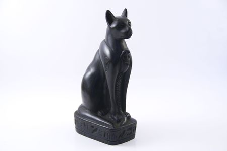 black catの写真素材