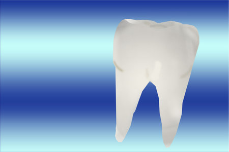 toothの写真素材