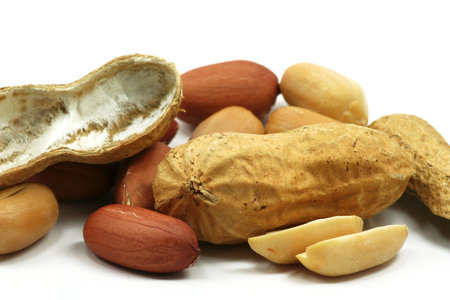 roasted peanuts