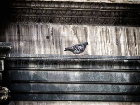 a view of Florence cathedral, Italyの写真素材