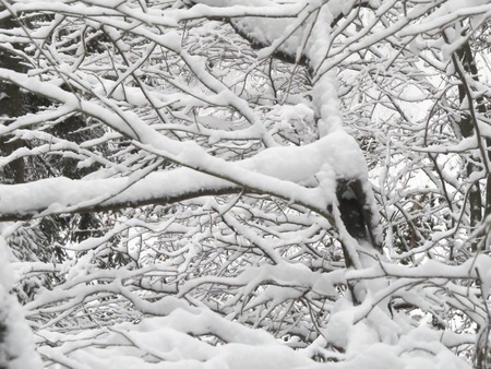 a view of fresh snow on a mountainの写真素材