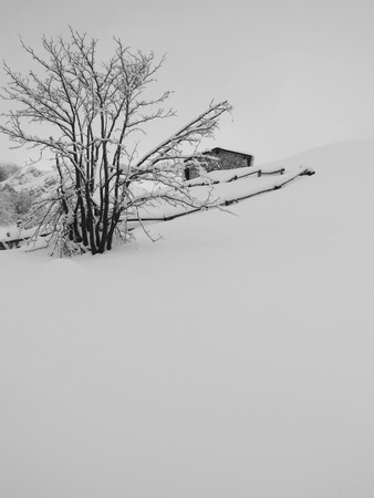 a view of fresh snow on a mountainの写真素材