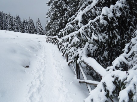 a view of fresh snow on a mountainの写真素材