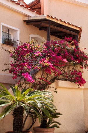 a view of a flower houseの写真素材