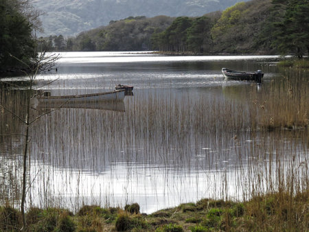 a view of the Killarney National Park,Ireland