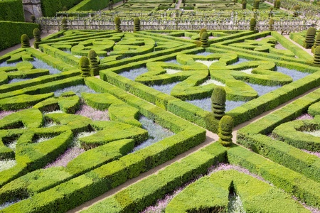 a view of a green labyrinthの写真素材