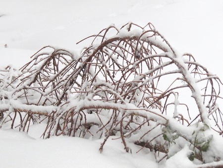 a view of fresh snow on a mountainの写真素材