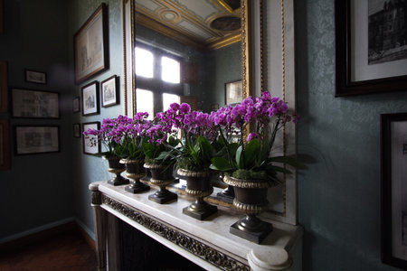 a view of Chenonceau castle,Franceの写真素材