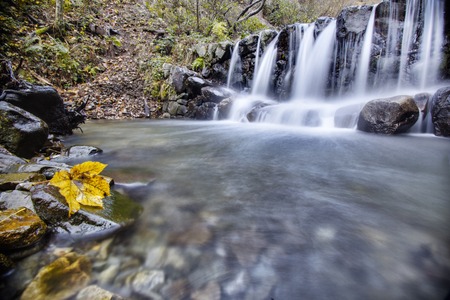 a view of a waterfall in a woodの写真素材